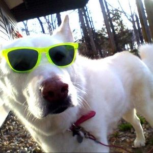 Meet your Posher, Aydan